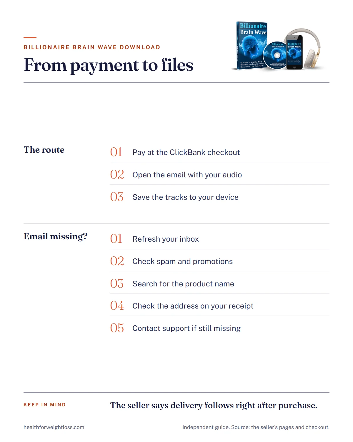 Billionaire Brain Wave download infographic: from payment to email to saved tracks, plus a checklist for a missing email