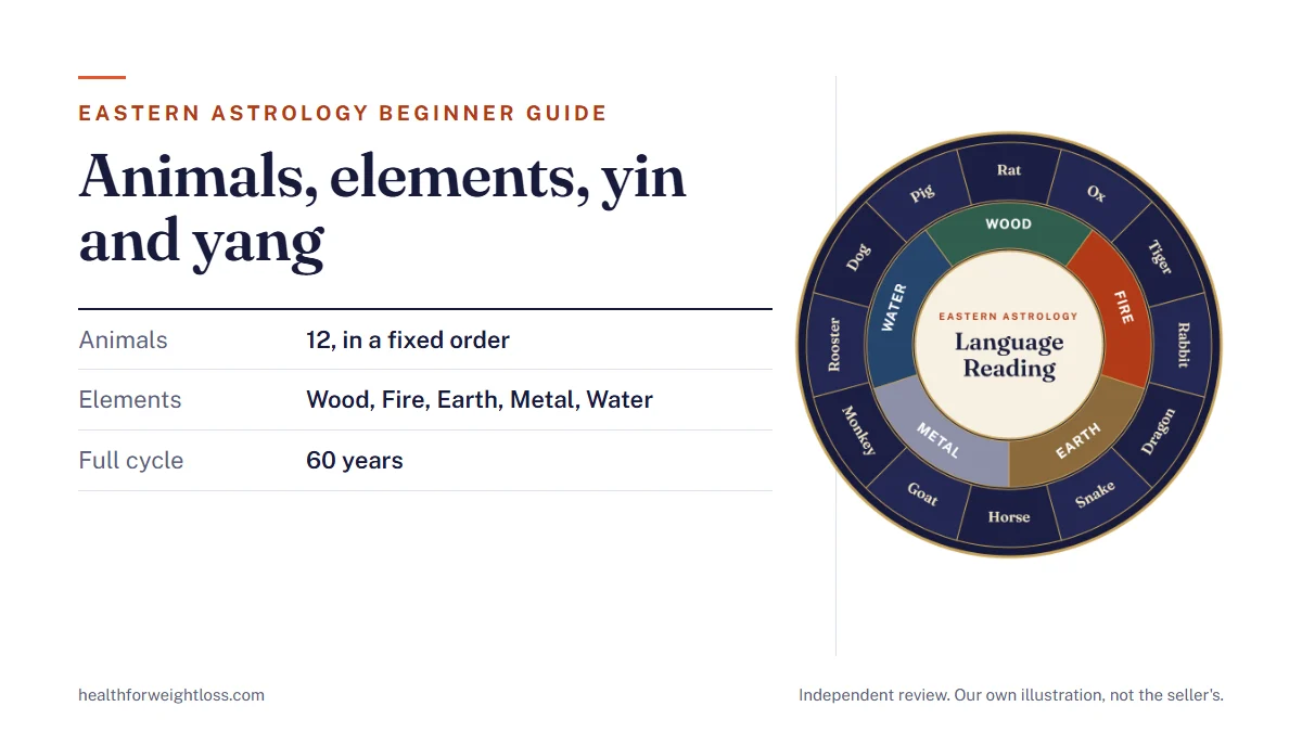 Eastern astrology: our own chart wheel with the 12 zodiac animals and the five elements beside the lunar year basics