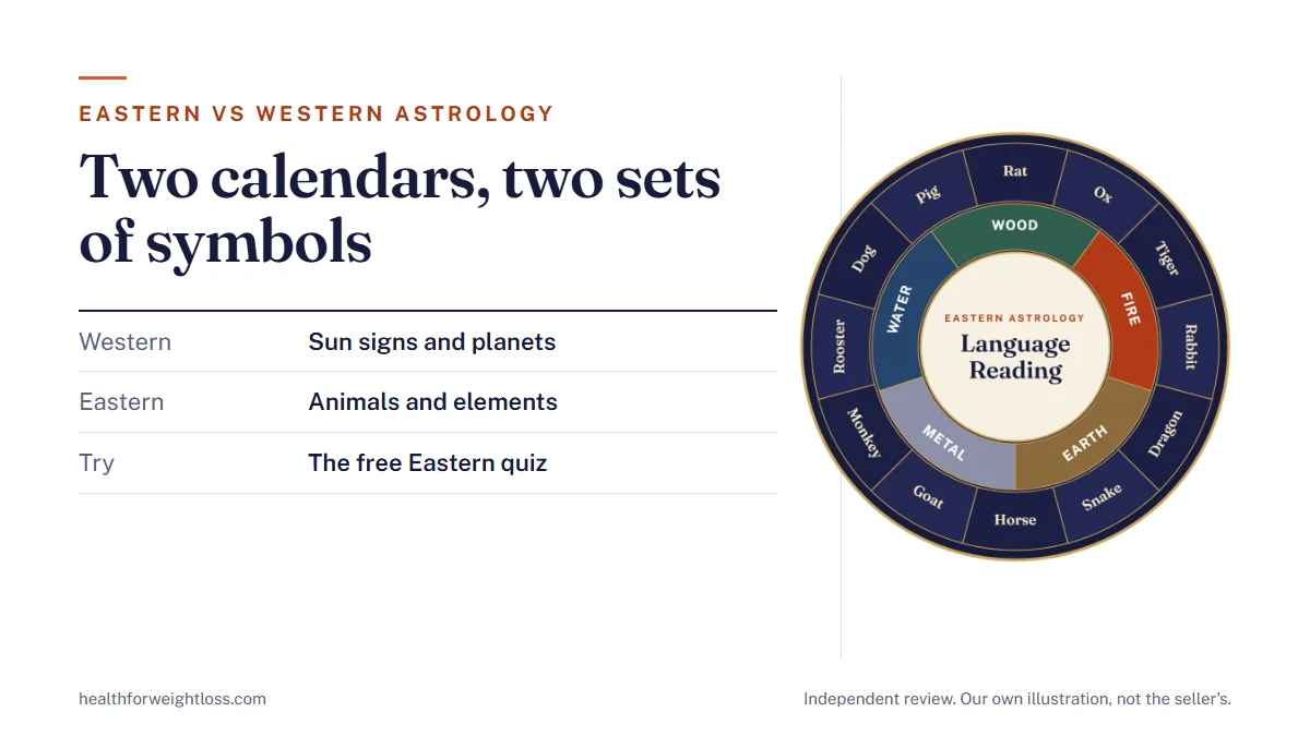 Eastern vs Western astrology: our own chart-wheel illustration beside the zodiac animals, the sun signs