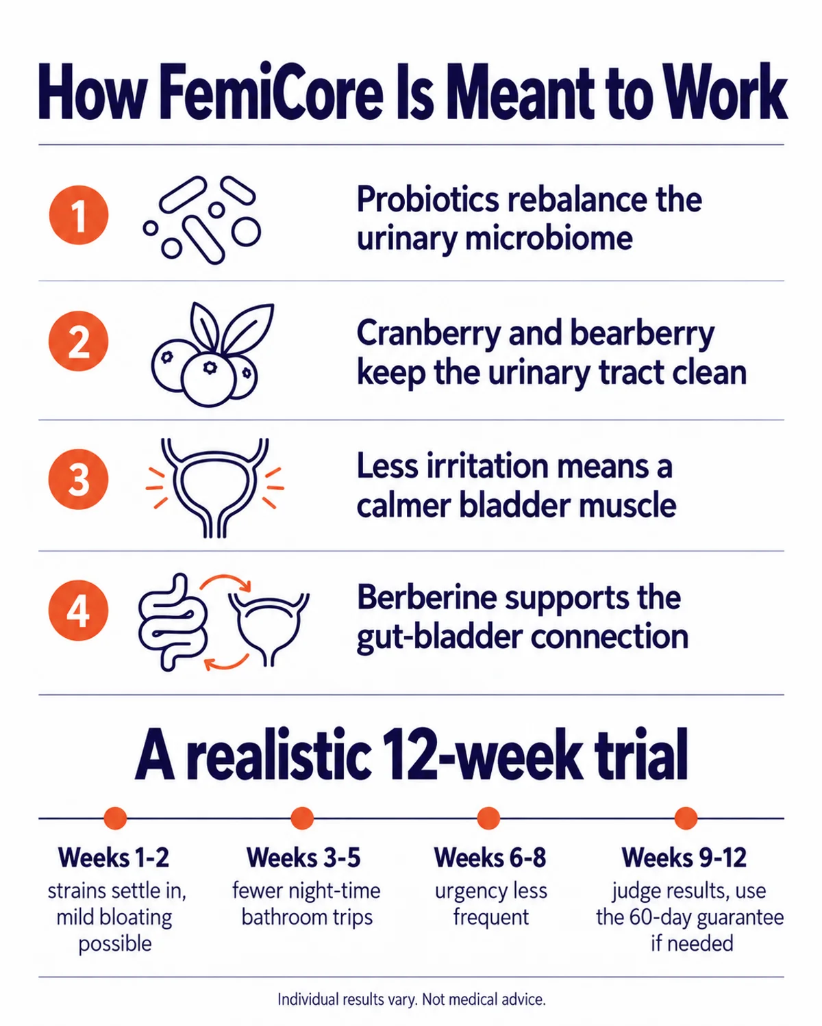 How FemiCore works infographic: 4-step mechanism and a realistic 12-week timeline