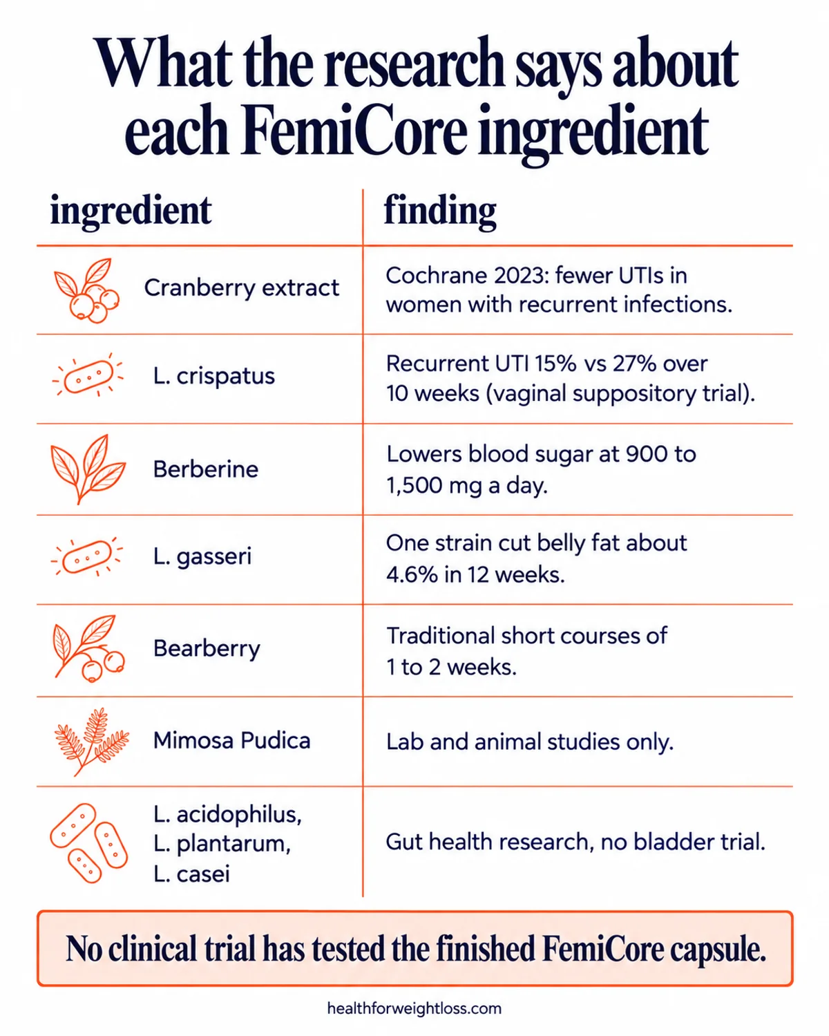 FemiCore ingredients list infographic: research behind each ingredient, from cranberry Cochrane review to L. crispatus 15% vs 27% and berberine 900 to 1,500 mg