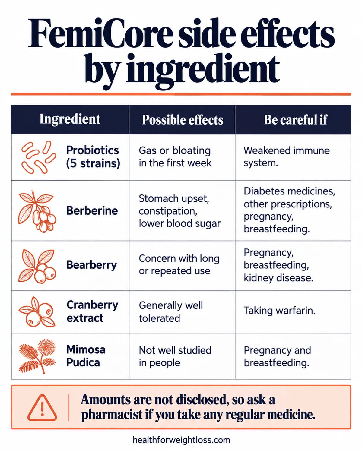 FemiCore side effects infographic: possible effects and who should be careful for probiotics, berberine, bearberry, cranberry and mimosa pudica