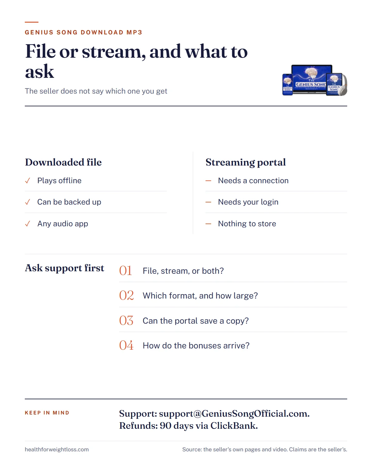 The Genius Song download MP3 infographic: streaming portal versus downloadable file compared, plus four questions