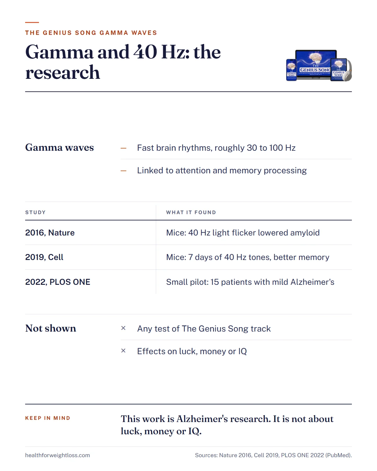 The Genius Song gamma waves infographic: what gamma rhythms are and what MIT's 40 Hz research found in mice