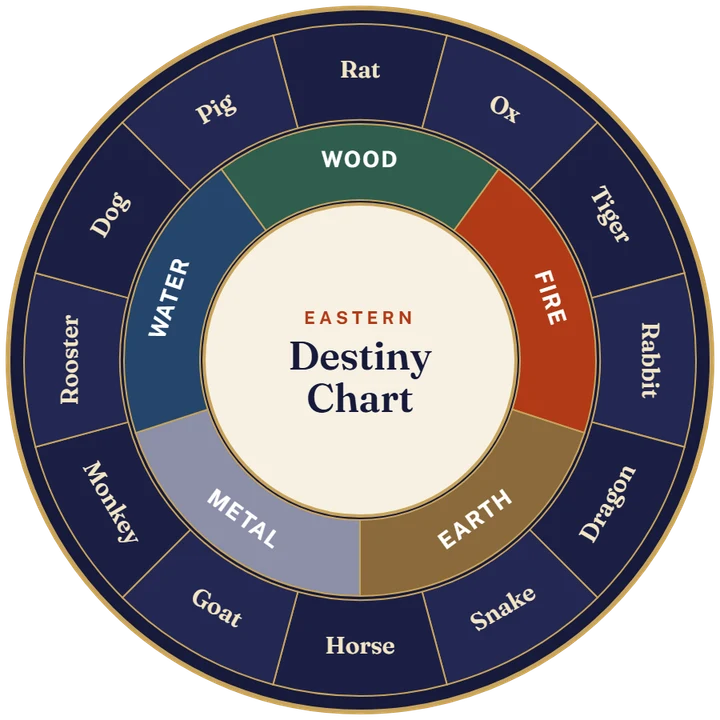 Our own illustration of an Eastern destiny chart wheel showing the 12 zodiac animals and the five elements. Not the seller's product image.